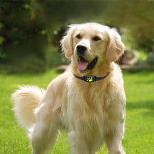 Z8 - A Pet Tracker GPS Dog / Cat Collar Water-resistant USB Charging