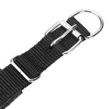Z8 - A Pet Tracker GPS Dog / Cat Collar Water-resistant USB Charging