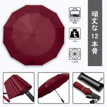 Agedate Folding Umbrella Auto Open & Close Heavy Duty 12 Ribs Large Men's Umbrella Teflon Super Water Repellent 210T High Strength Glass Fiber Windproof with Umbrella Case