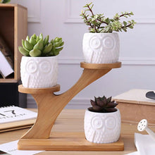 Holder Ceramic Owl Pumpkin Pattern Pot Treetop Shaped Bamboo Shelf Pot Planter Set Home Decoration